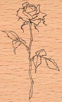 Große langstielige Rose